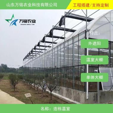 連棟溫室 智能溫室 農業蔬菜大棚 玻璃溫室大棚 農業溫室工程定制-1000㎡起批