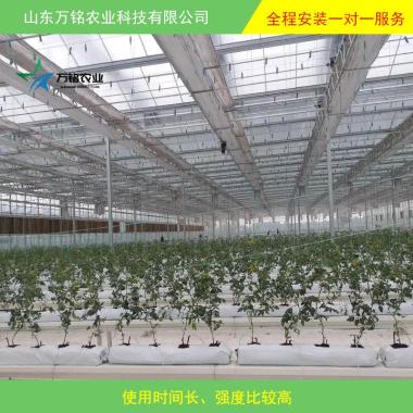智能溫室 智能連棟溫室 玻璃溫室大棚 蔬菜大棚 花卉大棚 -1000㎡以上起批